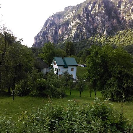 Vila Montana Pension Dobrilovina Buitenkant foto