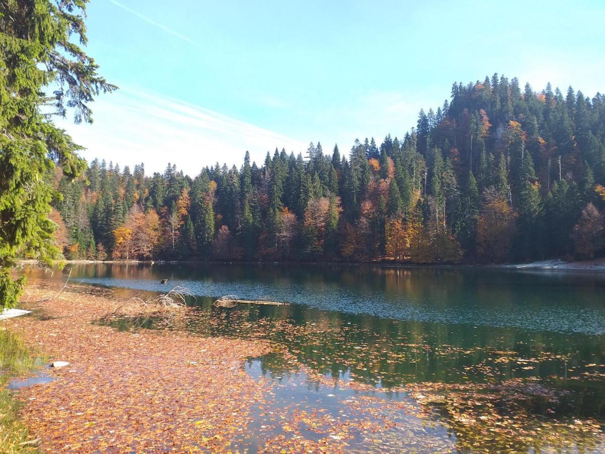 Vila Montana Pension Dobrilovina Buitenkant foto