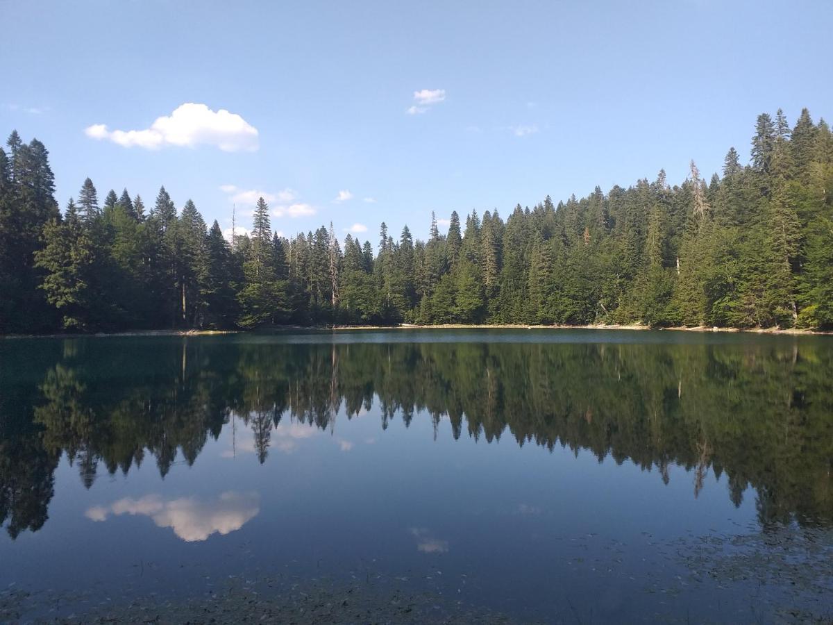 Vila Montana Dobrilovina Buitenkant foto