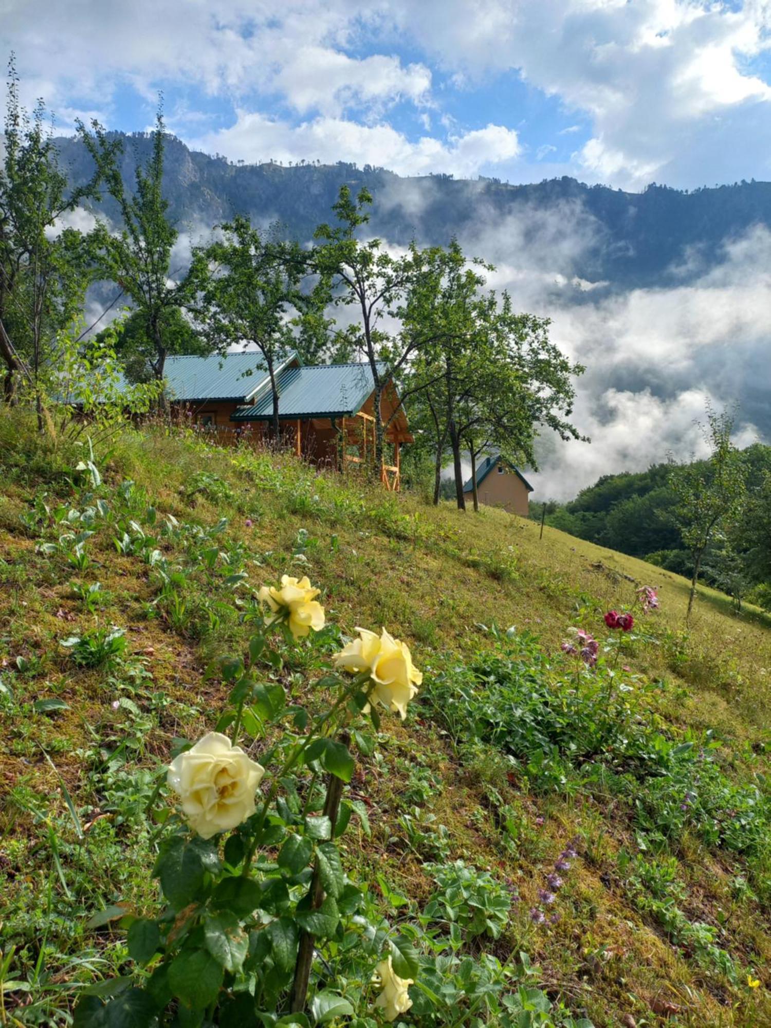 Vila Montana Pension Dobrilovina Buitenkant foto