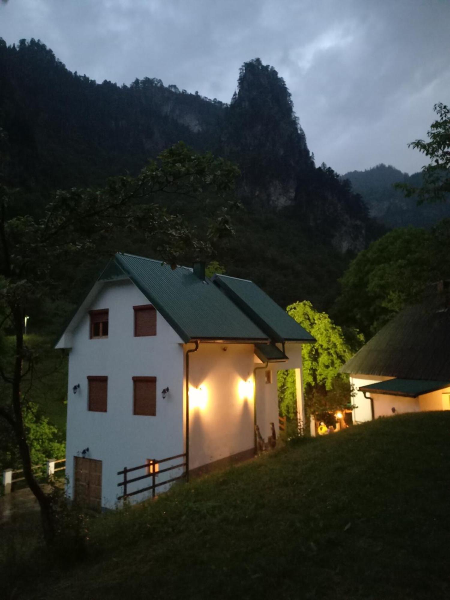 Vila Montana Pension Dobrilovina Buitenkant foto