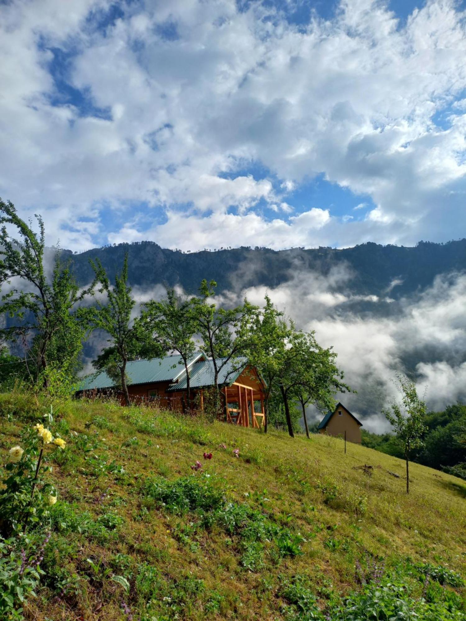 Vila Montana Pension Dobrilovina Buitenkant foto