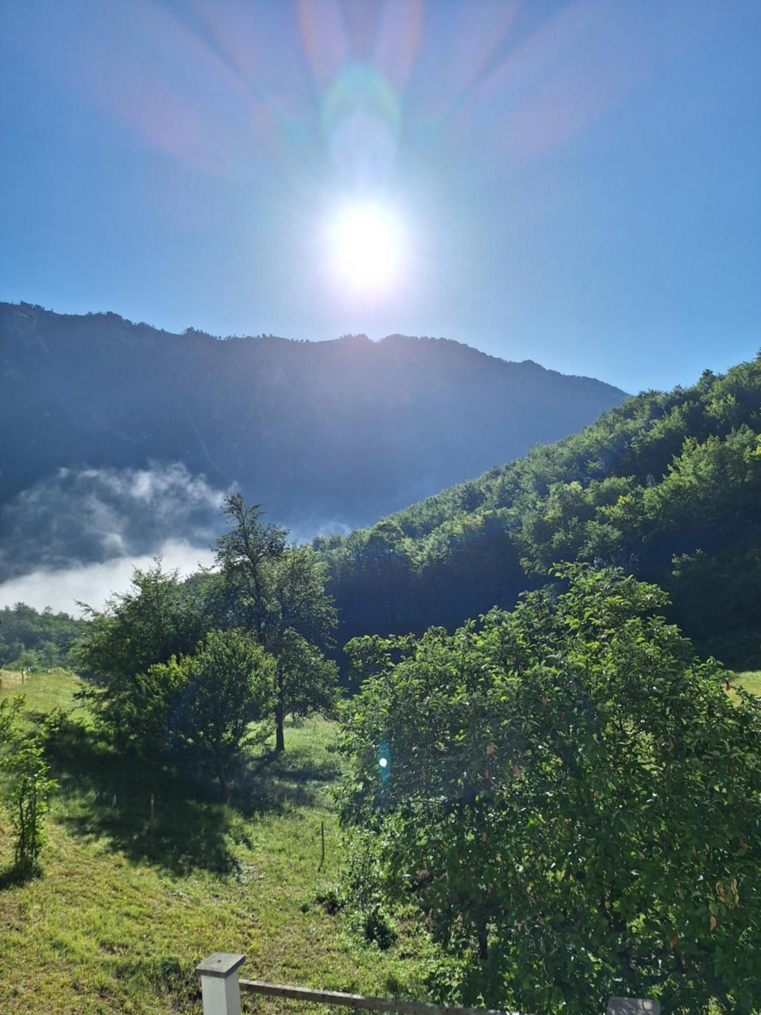 Vila Montana Pension Dobrilovina Buitenkant foto