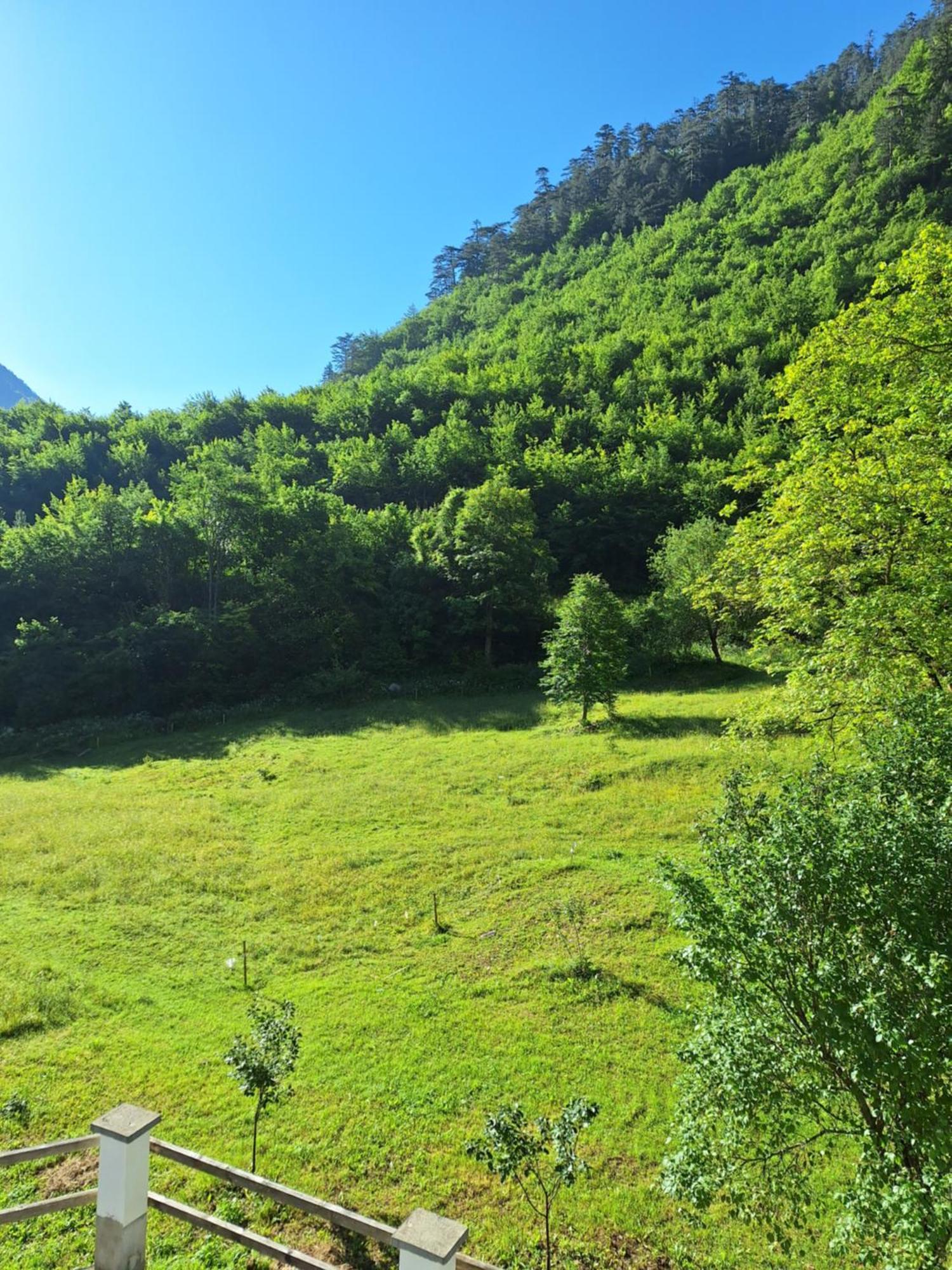 Vila Montana Pension Dobrilovina Buitenkant foto