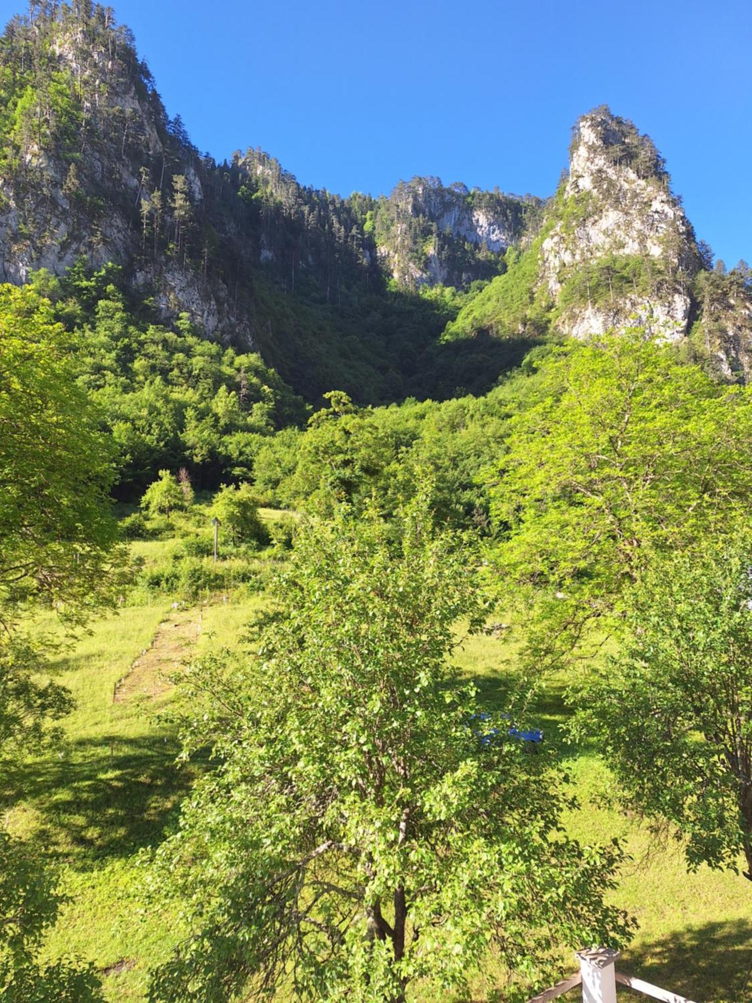 Vila Montana Dobrilovina Buitenkant foto