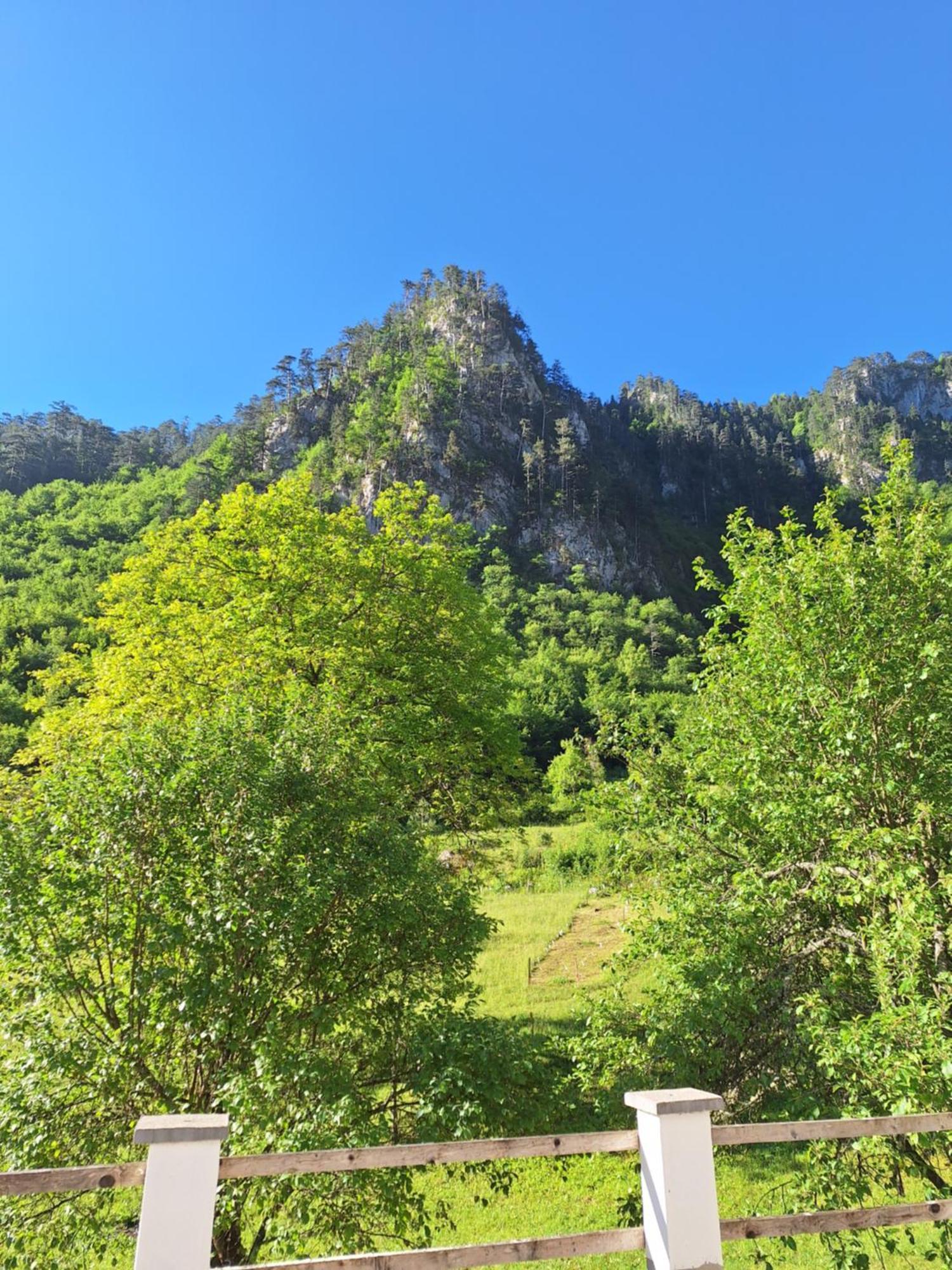 Vila Montana Dobrilovina Buitenkant foto