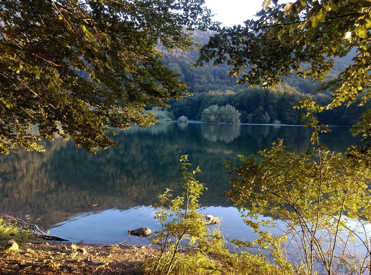 Vila Montana Pension Dobrilovina Buitenkant foto