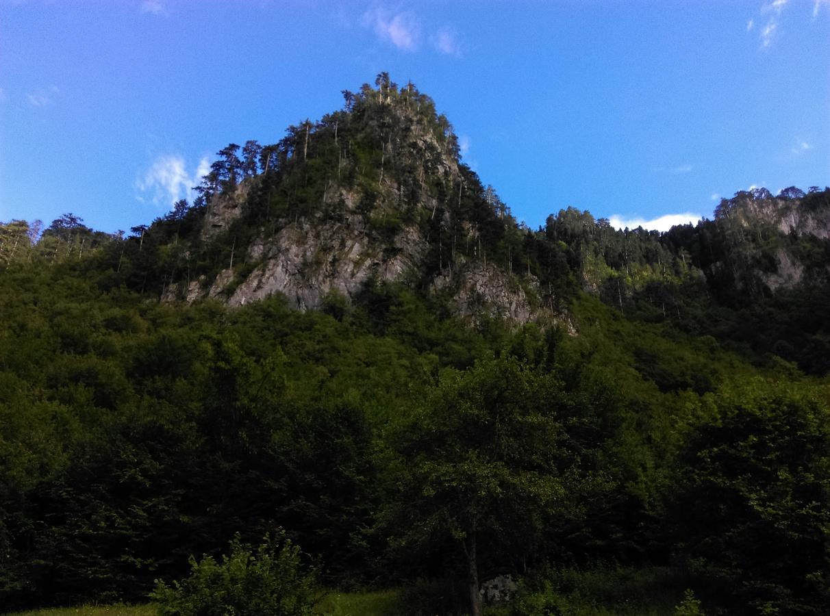 Vila Montana Dobrilovina Buitenkant foto