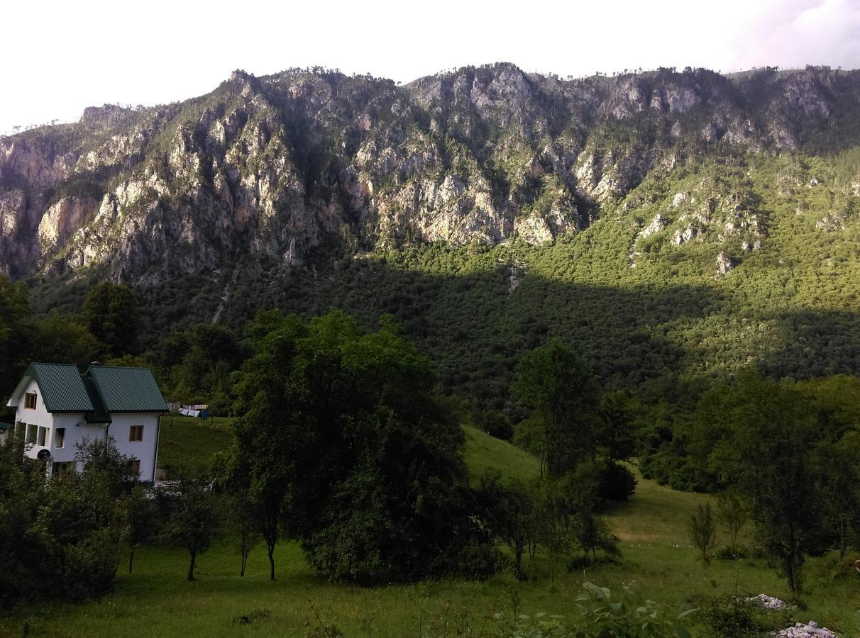 Vila Montana Pension Dobrilovina Buitenkant foto