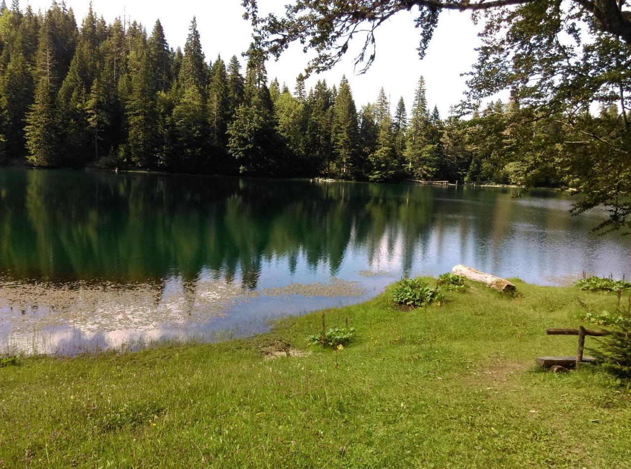 Vila Montana Pension Dobrilovina Buitenkant foto